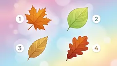 Test del tipo di personalità: scopri il tuo livello di attenzione